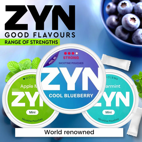 The Best Zyn Alternatives: A Comprehensive Buying Guide to Zyn Competitors 2025
