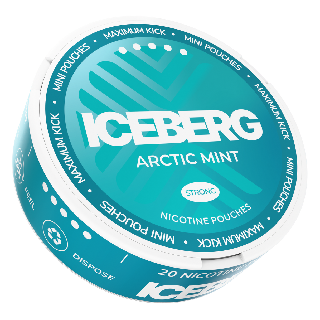 Iceberg Mini Artic Mint 30mg