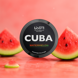 The Snus King