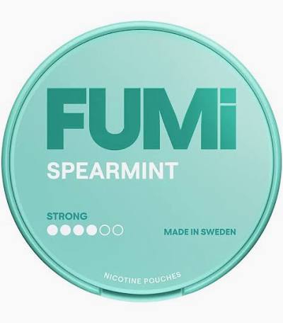 The Snus King