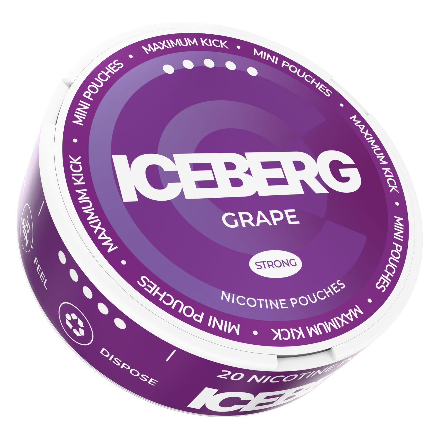 Image of Iceberg Mini Grape 30mg