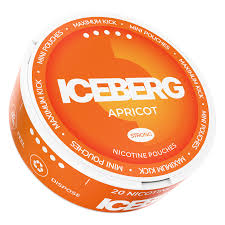 Image of Iceberg Mini Apricot 30mg