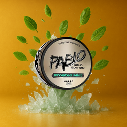 Image of Pablo Nicotine Pouches 17mg - Frosted Mint